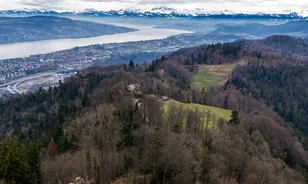 Már a korai kőkorszakban készíthettek sört a mai Svájcban