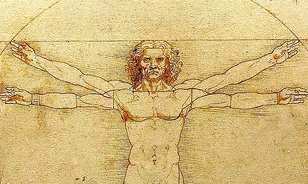 Mára „kinőtte” az ember a Leonardo da Vinci által ideálisnak tartott testarányokat