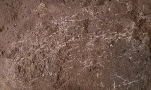 200 000 éves ágyakra bukkantak Dél-Afrikában