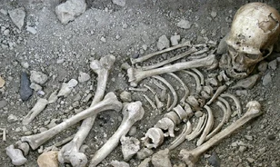 Egy tízéves gyermek szemfoga segíthet megérteni, miért tűntek el a neandervölgyiek