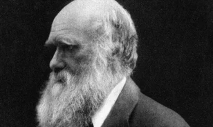 Eltűnt Charles Darwin két, Cambridge-ben őrzött jegyzetfüzete