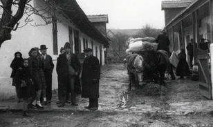 Több válságot kívánt egyszerre megoldani a magyar kormány a „svábok” kitelepítésével