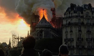 Kiválasztották a Notre-Dame újjáépítéséhez szükséges első nyolc tölgyfát