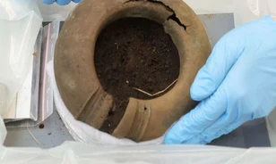 Bronzkori ékszerekbe botlott egy tájfutó egy svédországi erdőben