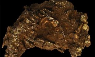 Az eddigi legrégebbi afrikai Homo sapiens-sírt tárták fel Kenyában
