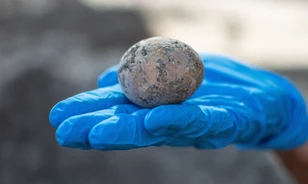 Épen megőrződött, ezer éves tyúktojásra bukkantak Izraelben