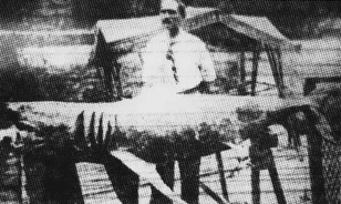 1916 nyara előtt az emberek jobbára ártalmatlan lényeknek tartották a cápákat