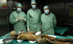 Hegymászással és kőszálikecske-lakomával búcsúzott az árnyékvilágtól Ötzi