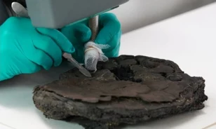 Egy 1942-es bombázást túlélt mogyorótortát restaurálnak német régészek