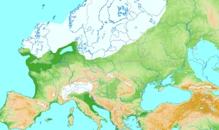Csigahéjak és cseppkövek mesélnek a Kárpát-medence jégkorszaki klímájáról