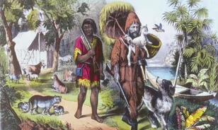Nyomozás az igazi Robinson Crusoe után 