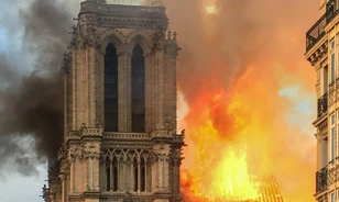 Ezer tölgyből épülhet újjá a Notre-Dame-székesegyház