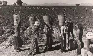 Egyszerű rézszegecsekkel indult világhódító útjára a farmernadrág