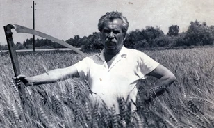 Tűpontosan ábrázolta és kíméletlen kritikával illette a magyar társadalmat Móricz Zsigmond 