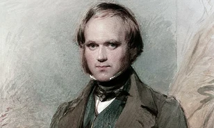 December 9-éig lehet licitálni egy ritka, aláírt Darwin-kéziratra