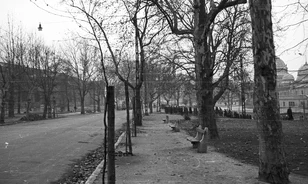 „Parancsoló bátorsággal és méltósággal” – az 1956-os budapesti nőtüntetés