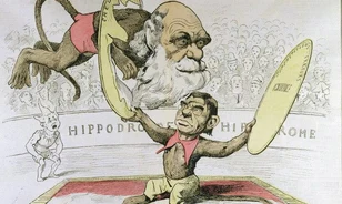 Egy nap alatt elkapkodták Darwin világrengető könyvét, A fajok eredetét