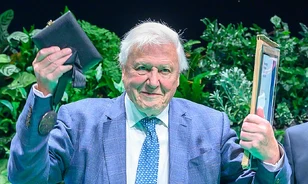 Hét évtizede varázsol el minket a természet csodáival David Attenborough