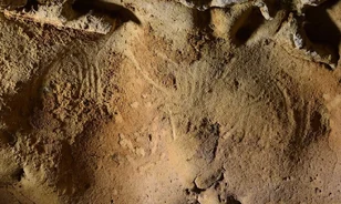 Legalább 57 ezer éves, neandervölgyiek által készített rajzokra bukkantak Franciaországban