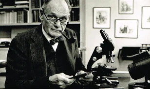 Ingatlanügynökből vált a védőoltások úttörőjévé John Franklin Enders