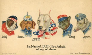 Hogyan fogadta az amerikai sajtó az 1. világháború kitörését?