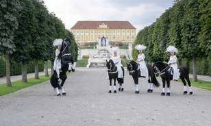 Lovas fesztivállal és sárkányeregetéssel is várja a látogatókat a Schloss Hof kastély