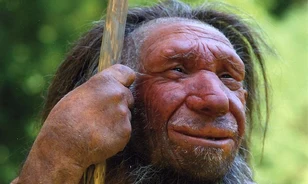 A neandervölgyiek kihalása korábban kezdődött, mint gondolták