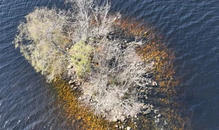 Loch szigete ritka középkori crannog - most feltátrják
