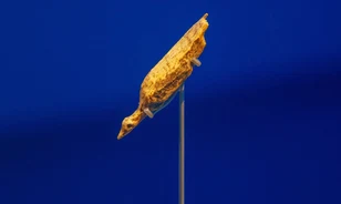 A Hohle Fels vízimadara, a figurális művészet hajnala
