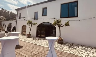 Megnyílt a Balaton Wines Visitor Center – a borturisták Mekkája