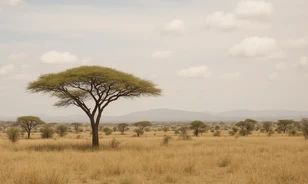 Kelet-Afrika titkai: ősi városok és modern kihívások