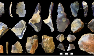 Homo heidelbergensis: ősi emberek nyomai Kentben