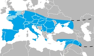 Vallásosak voltak-e a neandervölgyiek?