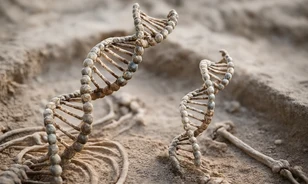A genetikai variáció nyomában Dél-Afrika ősi lakói között