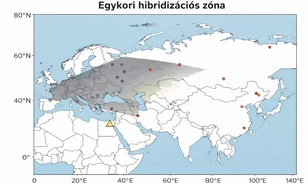 Azonosították a neandervölgyi és a modern ember keveredési zónáját