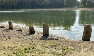 Középkori révátkelő maradványait azonosították a Tiszában