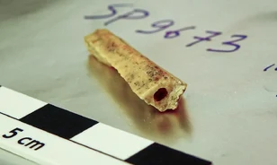 Két rokon neandervölgyi tízezer év különbséggel élt ugyanabban az altáji barlangban