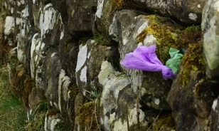 Kutyapiszkot rejtenek a Hadrianus-fal réseibe a turisták