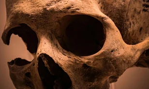 Együttműködött a neandervölgyi és a modern ember