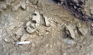 Gyorsabban fejlődtek a neandervölgyi csecsemők, mint a modern ember gyermekei