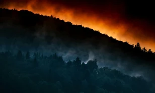 Az égetéses földművelés is formálta a múlt erdőtüzeit