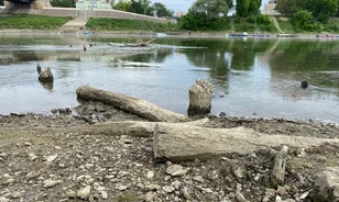 Elpusztulhatnak a török kori fahíd cölöpjei Szolnoknál