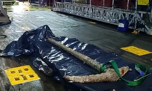 Ókori római horgonyt emeltek ki az Északi-tengerből