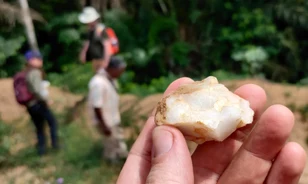 Mégsem félt a Homo sapiens az esőerdőktől