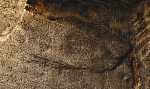 Ősi buddhista feliratot őrzött egy omladozó kínai barlang
