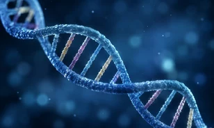 A neandervölgyiekkel közös DNS-szakasz segíthet megérteni a nyelv eredetét