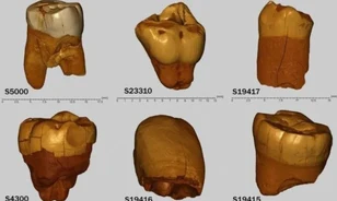 Neandervölgyi migrációs központ volt az őskori Közép-Európa