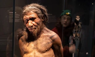 Távoli álom még a neandervölgyiek klónozása
