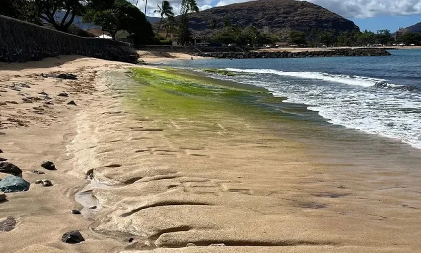 Óceán rejtette üzenetek Hawaii partjainál