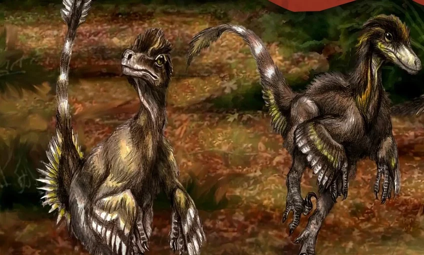 A magyar dinoszaurusz-kutatás történetéről nyílik kiállítás Békéscsabán